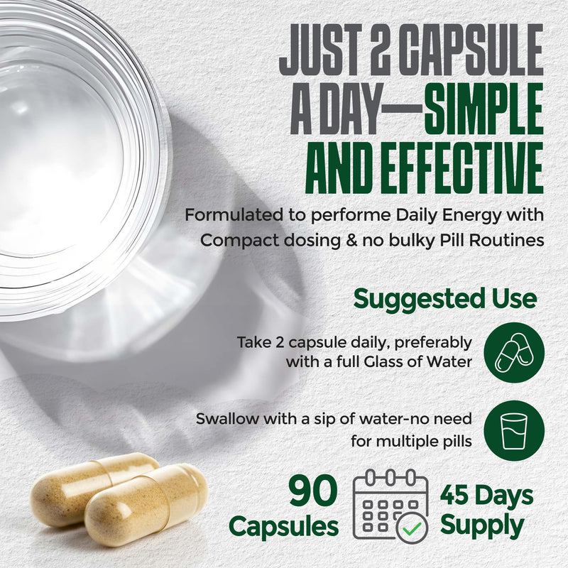 Methylated B Complex with TMG | Methylfolate 5-MTHF, Methylcobalamin B12, P5P B6, R5P B2 | MTHFR & Homocysteine Support | Energy, Focus & Mood | 90 Vegan Capsules | Non-GMO, GMP