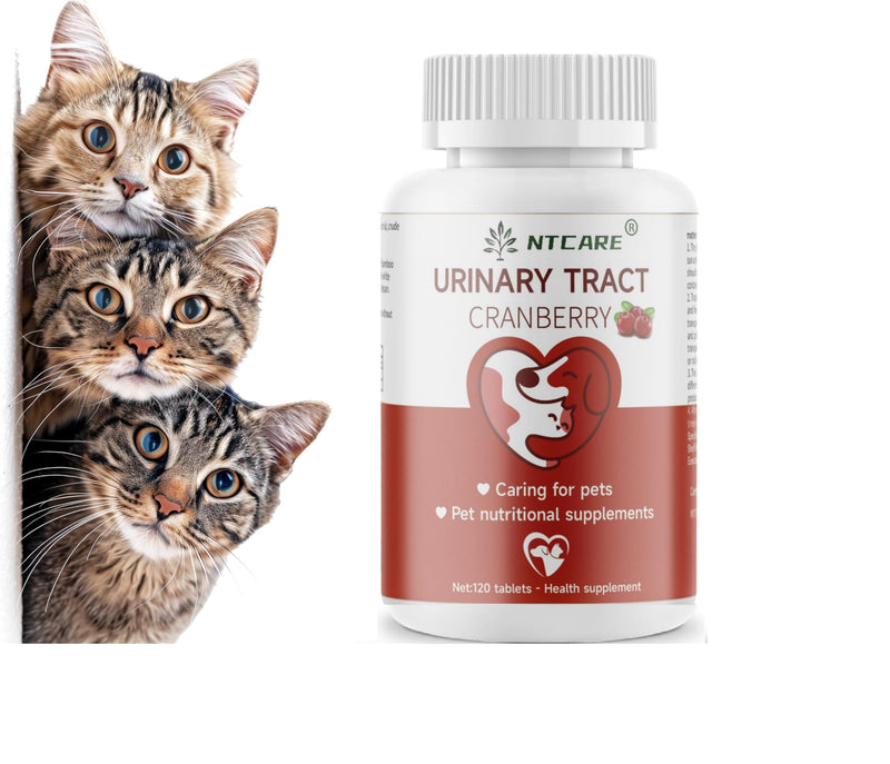 Cranberry for Dogs - Urinary Tract Support, Bladder Health, Dog UTI, Bladder Stones, Incontinence Support, Cranberry for Dogs and Cats, 120 Tablets