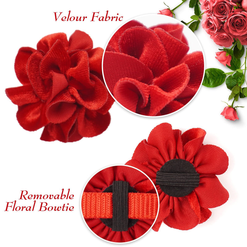 azuza 2 Pack Cat Collar Floral with Bell and Removable Flower Bowtie Breakaway Adjustable Velvet Fabric Cat Collar for Pets Valentine's Day Gift and Daily Decoration，Wine Red & Rose Pink Neck: 8"-12" Wine Red & Rose Pink - BeesActive Australia