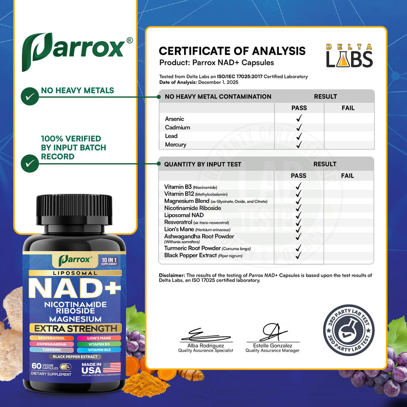 NAD+ Supplement, Liposomal Nicotinamide Riboside, 10-in-1 Strength, 3 Pack | Nicotinamide Riboside, Magnesium, Vitamins B3 & B12, Resveratrol, Turmeric, Ashwagandha & Lion's Mane 60 Count (Pack of 3)