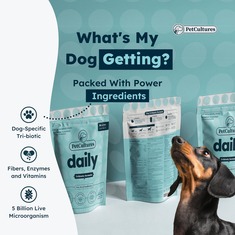 PRO Daily Probiotics for Dogs, Gut Health PRE, PRO, and Post-biotic Powder Supplement with Digestive Enzymes, Dog Probiotics for Digestive Health, 30 Packs (Daily) - PawsPlanet Australia