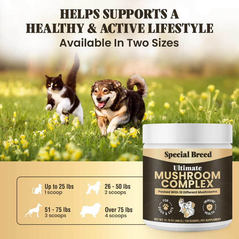 Mushroom Powder for Dogs & Cats - Organic Mushroom Complex for Immunity Support, Immune Function, Cognition, Vitality - Ten Mushroom Supplement with Turkey Tail, Lion's Mane, Reishi - 720 Scoops 12.70oz