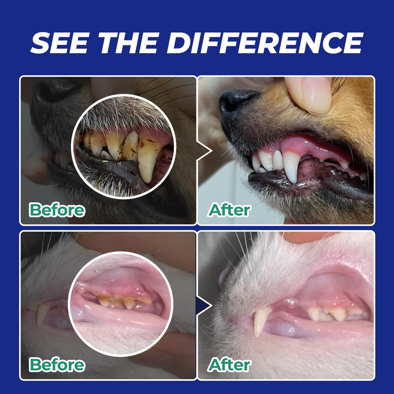 Wellix 250g Dog Teeth Cleaning Powder - Dog Dental Care Powder and Cat Breath Freshener - Plaque and Tartar Remover with Enzymes & Mint for Dogs & Cats of All ages and Breeds