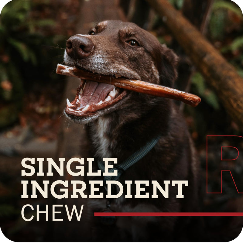 Redbarn Pet Products All-Natural 4" Bully Stick Rings for Dogs - Premium Grain-Free & Rawhide-Free Single Ingredient Long Lasting Low Odor Dental Treat for Chewers - 3 Count (Pack of 2) 3 Count (Pack of 2)