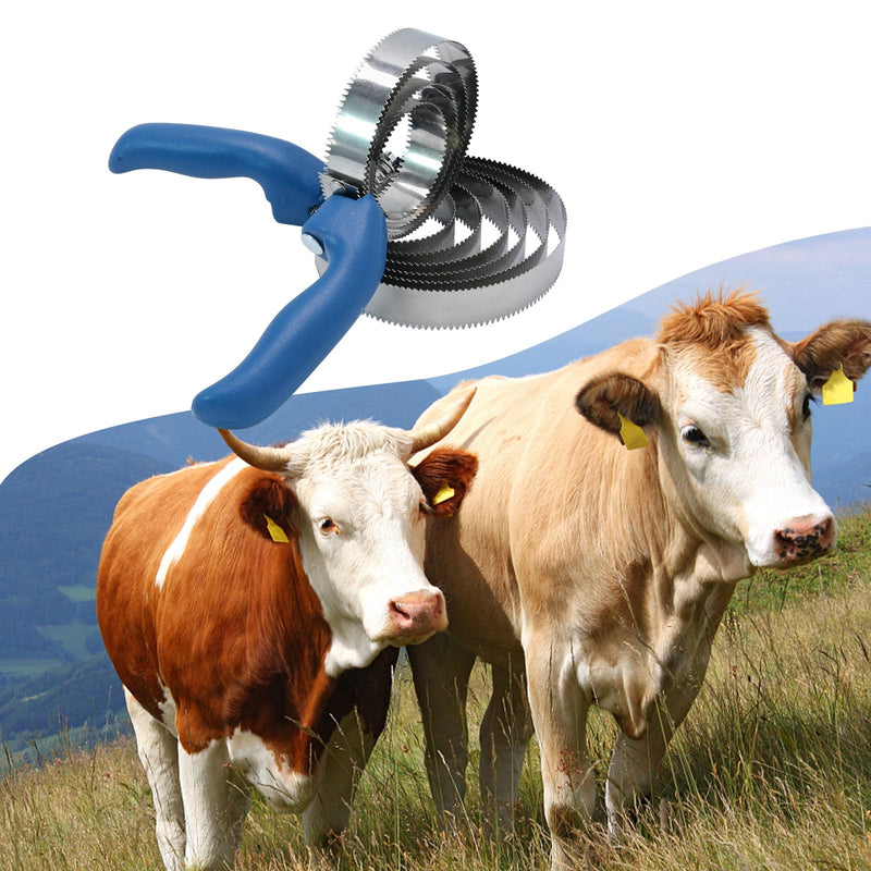 2Pack 4 Rings + 6 Rings Reversible Stainless Steel Curry Comb for Dog Spring Curry Horse Comb Brush for Horse with Soft Touch Grip Blue - BeesActive Australia