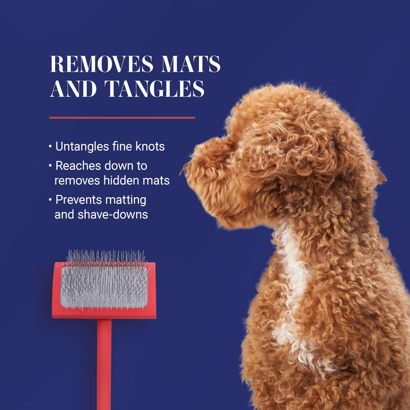 Chris Christensen Big G Dog Slicker Brush for Dogs (Goldendoodles, Labradoodles, Poodles), Groom Like a Professional, Fluff Detangle Style, Saves Time Energy, Coral, Large - BeesActive Australia