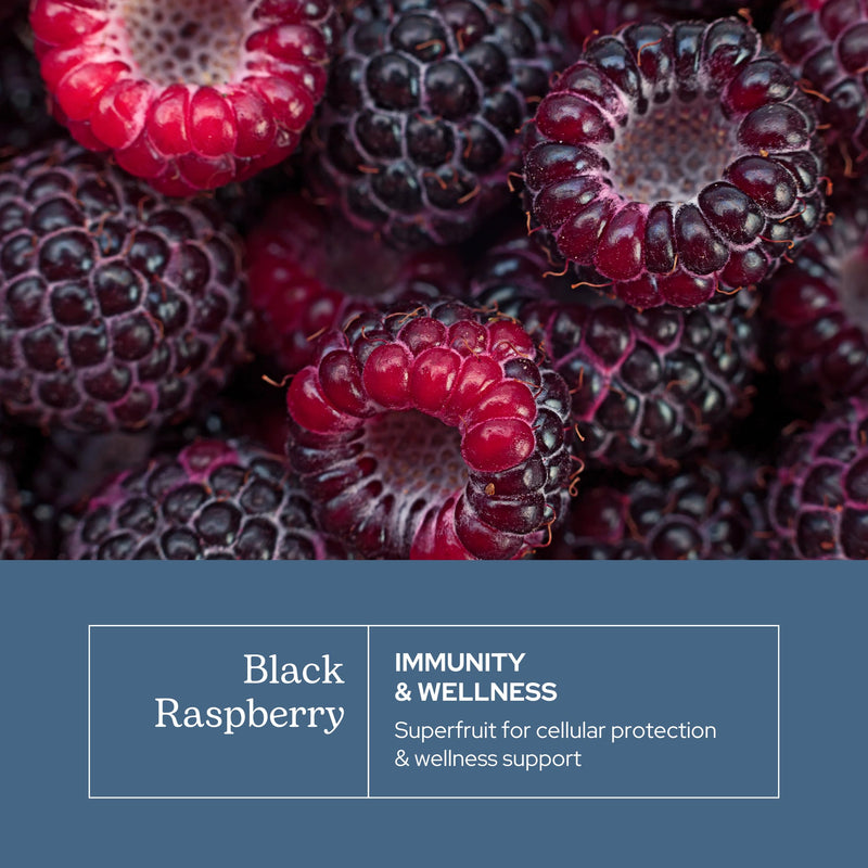 Eclectic Herb - Black Raspberry Capsules | Vegan Superfood Supplement | Nutrition, Vitamins + Minerals | Antioxidant + Immune Support | US-Grown, Natural, Non-GMO, Gluten Free (90 CT | 300 mg)