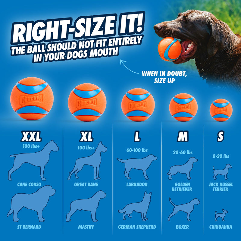 Chuckit! Sport 12M Dog Ball Launcher - Includes a 2.5-inch Diameter Medium Ball for Dogs 20-60 Pounds - Manual Tennis Ball Thrower With a Slim Ergonomic Handle - 12-inch Length Chucker 12in