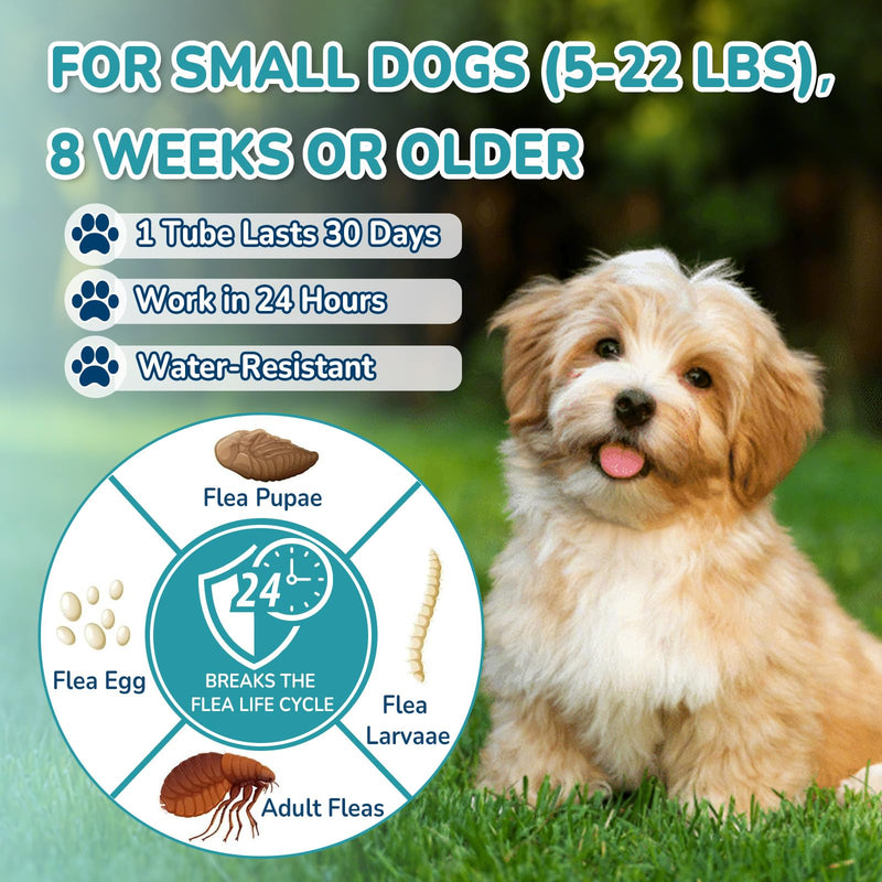Flea and Tick Prevention for Small Dogs, 6-Month Supply Dog Flea and Tick Treatment Drops, Topical Fast-Acting Dog Flea Treatment for Small Dogs Up to 5 to 22 lbs Small Dogs (5 to 22 lbs)