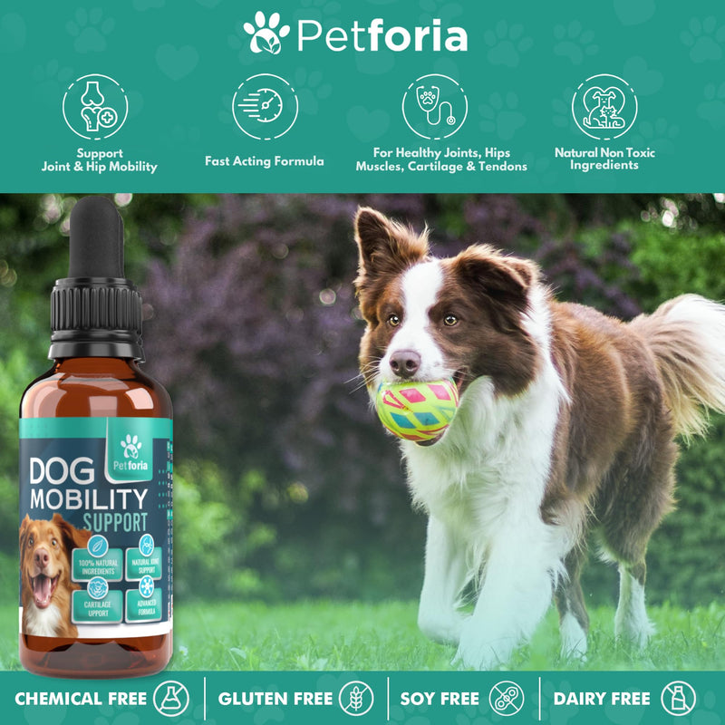 Dog Mobility Support | Support Mobility and Flexibility | Dog Mobility Comfort | Natural | Active Formula | Devils Claw For Dogs 50ML - Pack of 1