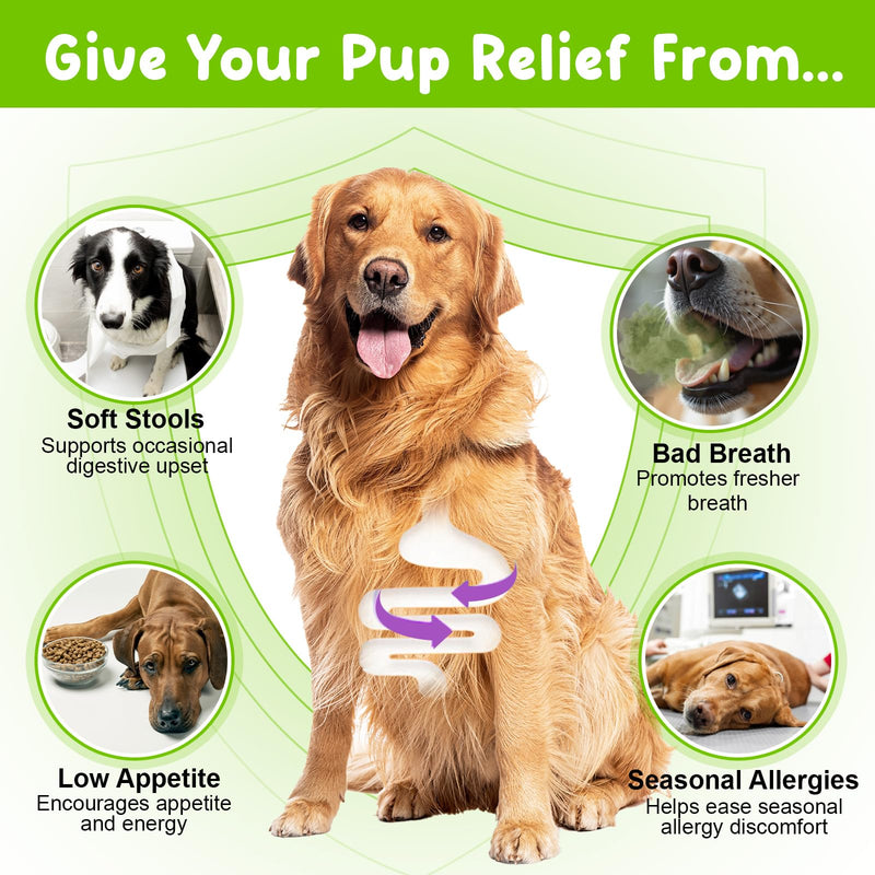 Dog Probiotic, Probiotics for Dogs with Prebiotic and Enzymes, 3 in 1 Dog Probiotic Drops, Dogs Probiotics Supplement Help Digestive Support Gut Health