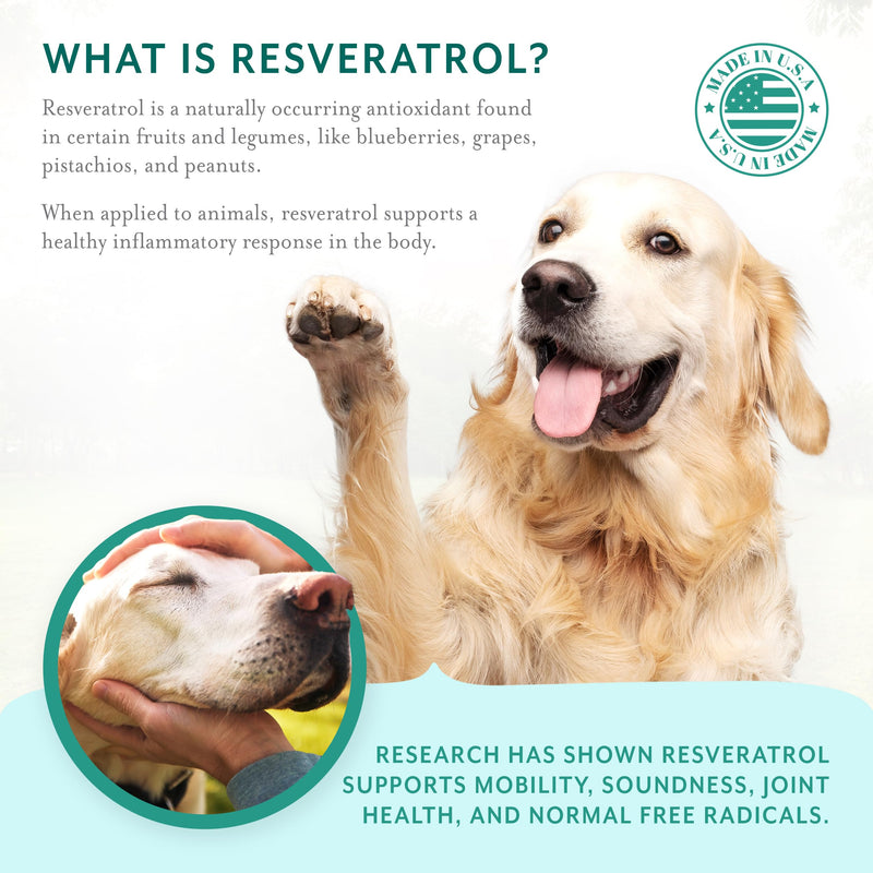 Resveratrol Chews Dog Supplement Bacon Flavor, Large Breed | Hip and Joint Support, Formulated with Glucosamine, Chondroitin, Trans-Resveratrol, Natural Vitamin E, and Hyaluronic Acid Large Breed (1 Bag)