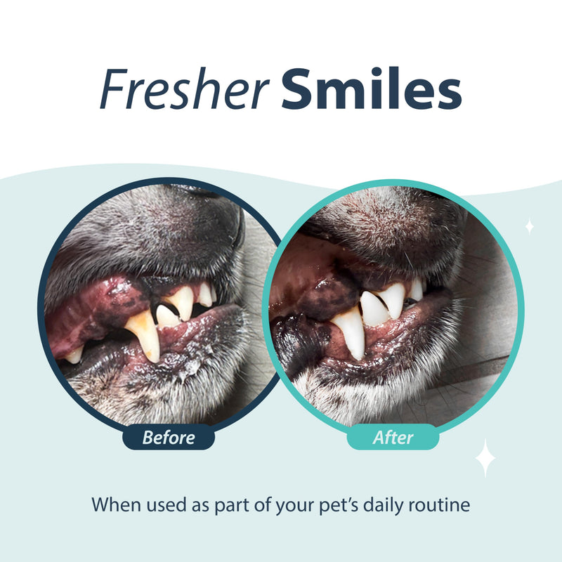 Dental Fresh Oral Spray for Dogs and Cats, Help Freshen Breath for Healthy Teeth & Gums, 4 Fl Oz.