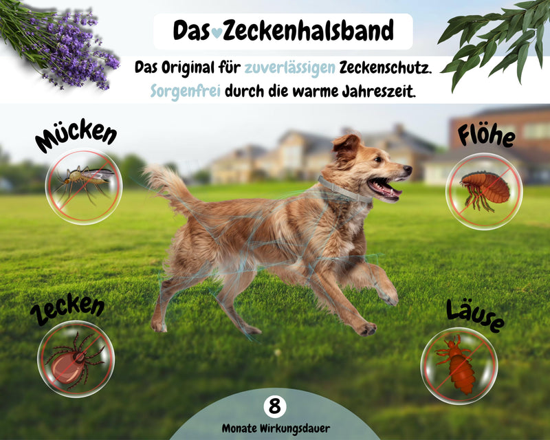 tooSimple The tick collar for dogs 100% vegetable premium oil Effective protection against ticks, fleas, mosquitoes, lice, vermin - 8 months duration of action - BeesActive Australia