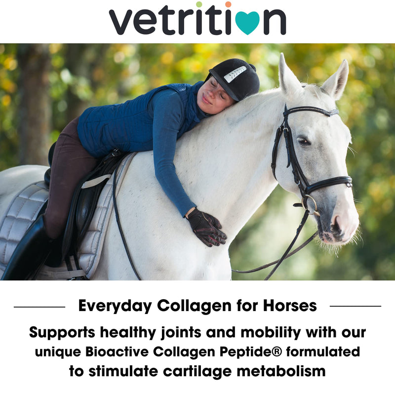 Everyday Collagen Powder for Horses, Bioactive Equine Collagen Peptide Powder, Vet Approved Horse Advanced Joint Supplement for Mobility, Skin & Muscle, All Breeds and Ages (750g)