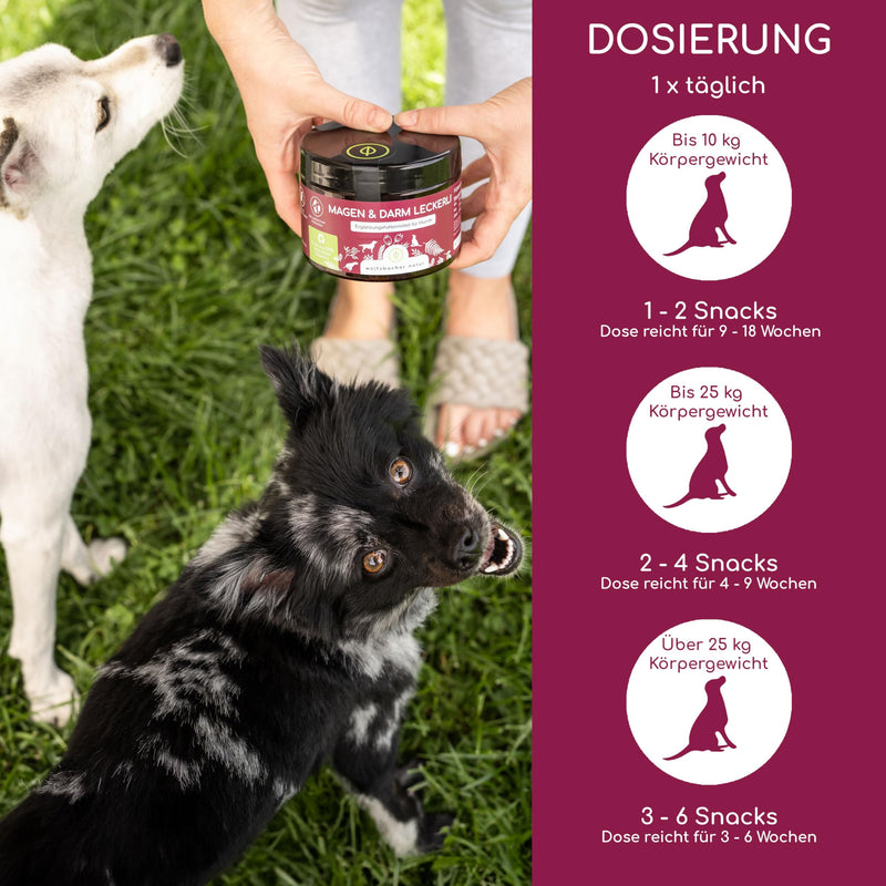 Digestive snack for dogs - 125 probiotics treat for stomach problems, heartburn, diarrhea | 100% natural, supports intestinal flora & normal feces | 125 gentle treats snack: gastrointestinal - BeesActive Australia