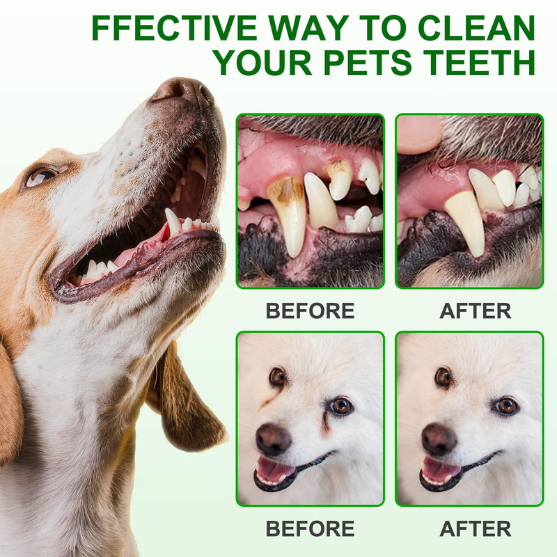50Pcs Teeth Cleaning Wipes for Dogs & Cats, Dog Breath Freshener Dental Finger Wipes, Dog Dental Care Wipes Helps Wipe Away Plaque & Tartar - Freshens Breath, No-Rinse Dog Finger Toothbrush - BeesActive Australia