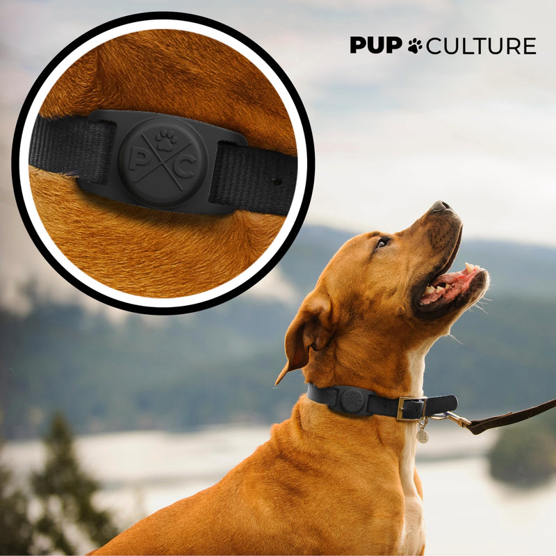 Pup Culture Cat Collar Airtag Holder, Extra-Durable, Lightweight, and Protective Cat Airtag Collar Holder - Track Your Cat Using Apple AirTag Technology - Airtag Collar Cat - Airtag Cat Collar Holder Black - BeesActive Australia