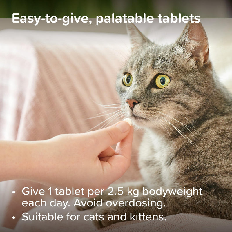 Beaphar - Top 10 Multi-Vitamin Tablets for Cats - Daily Essential Supplement – With Vitamins A, B, D, E and Minerals, Supports a Healthy Immune System, Skin & Coat, Strong Bones & Teeth – 180 Tablets