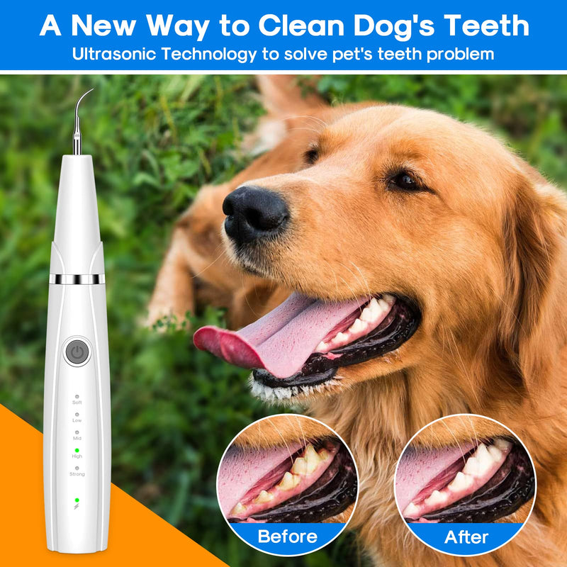 Dog Teeth Cleaning Kit, 5-Mode LED Ultrasonic Tooth Cleaner for Dogs & Cats – Plaque & Tartar Remover, 32-40kHz Pet Dental Care with Toothbrush(White) White