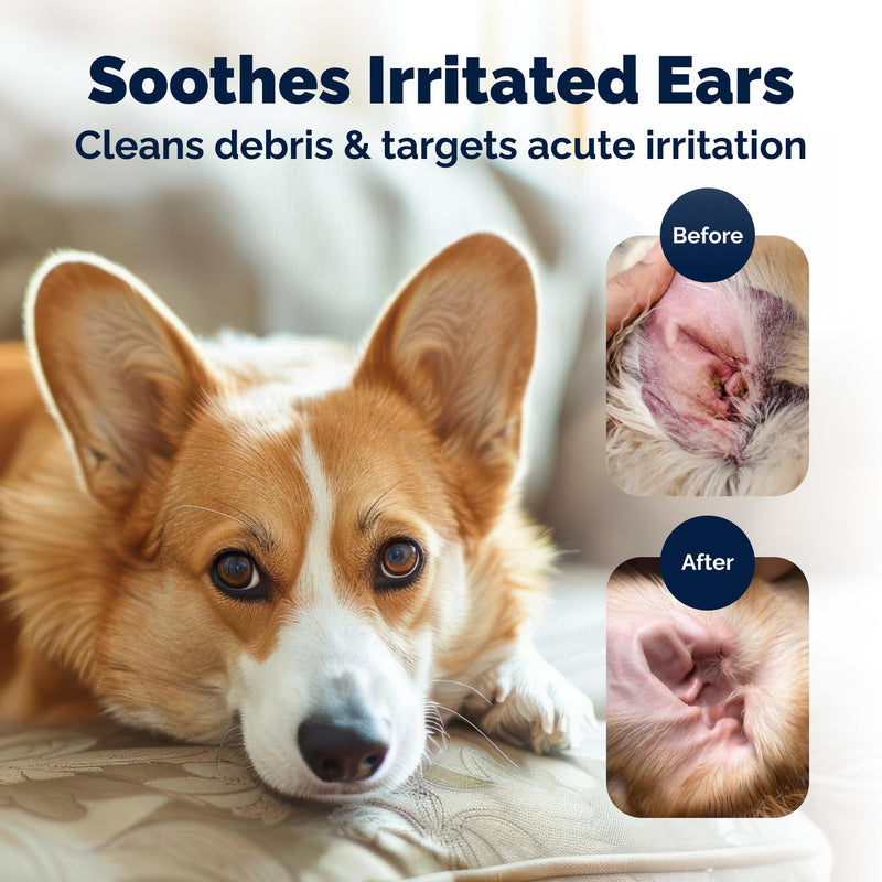Vetnique Oticbliss Dog Ear Infection Treatment Flush & Ear Cleaner for Dogs & Cats, Antiseptic Antifungal with 0.2% Chlorhexidine and 0.2% Ketoconazole, Medicated Wash for Yeasty Smell, Floppy Ears 6oz Flush