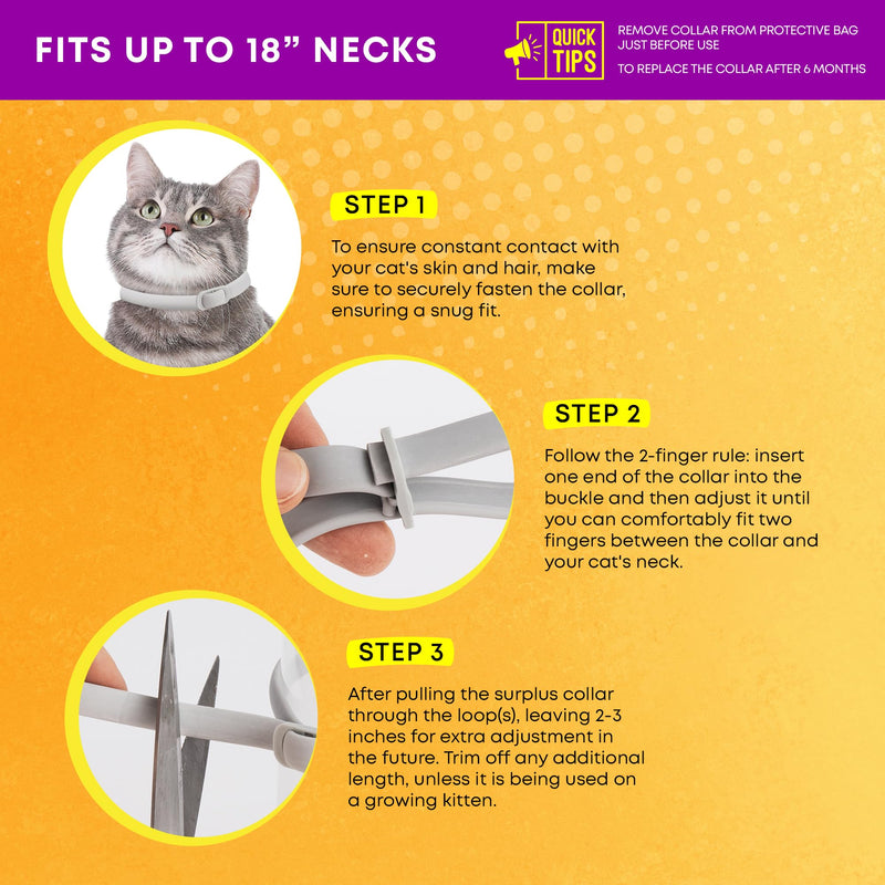 Cat Flea Tick Prevention Collar: Nature Flea Collar for Cats Fleas Repellent Collars - Safe Tick Prevention Collars for Cats Ticks Control for Kitten - 4 Pack 24 Month Protection Gray - BeesActive Australia