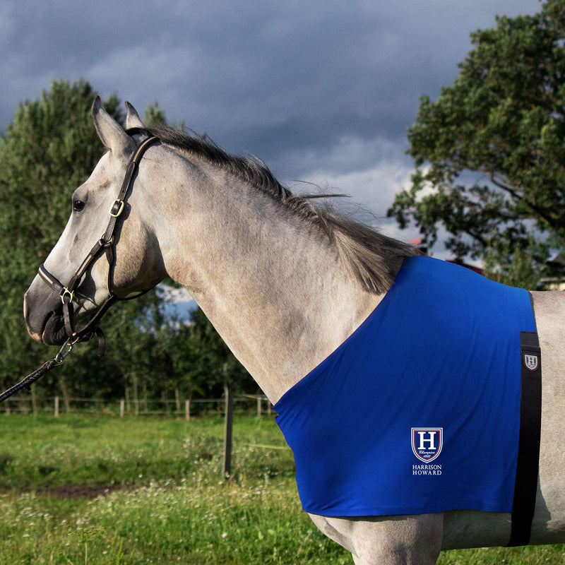 Harrison Howard Stretch Vest Anti Rub Bib Wither Shoulder Guard Horse Chest Saver Protector Blue M Cob (Medium)