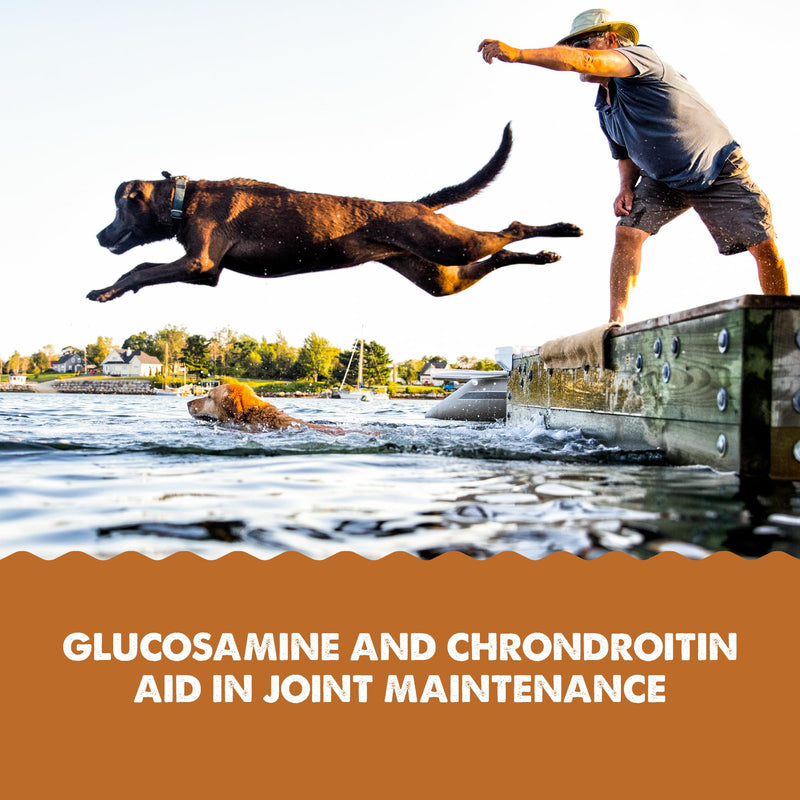 GRIZZLY PET PRODUCTS Joint Aid for Dogs Liquid Hip and Joint Support (Extra Strength), 16 fl oz 16 fl oz (Extra Strength) - BeesActive Australia