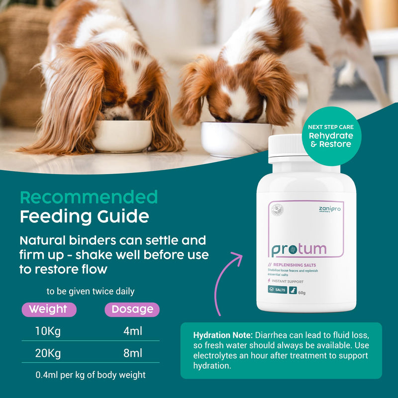 Dog Diarrhea Treatment, Fast Acting Diarrhea Relief for Dogs, 250ml, Dog Tummy Settler for Upset Stomach, Soothe Digestion & Firms Loose Stools, Fully Natural Tummy Liquid Only