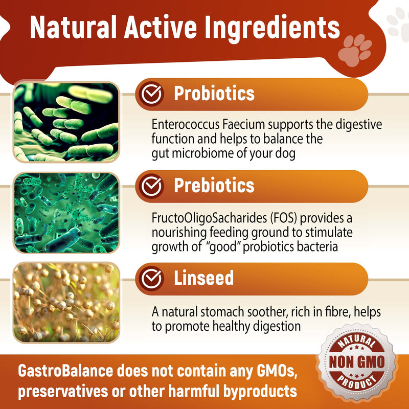 Advanced dog probiotics for gut health – 60 natural dog probiotic chews recommended by vet (Chicken flavour) Chicken flavour