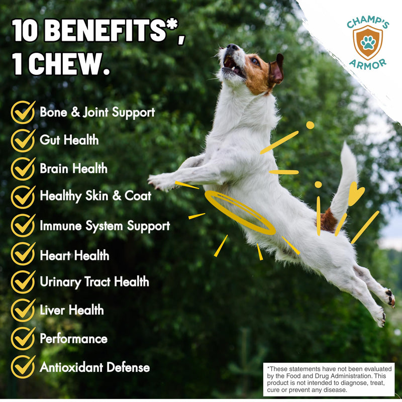 Dog Multivitamin 10-in-1 with Glucosamine - Hip Joint Support, Skin & Coat, Digestive Health, Immune Boost - Salmon Oil, Probiotics, MSM - All Natural Daily Chews for Dogs All Breeds - 120 Count