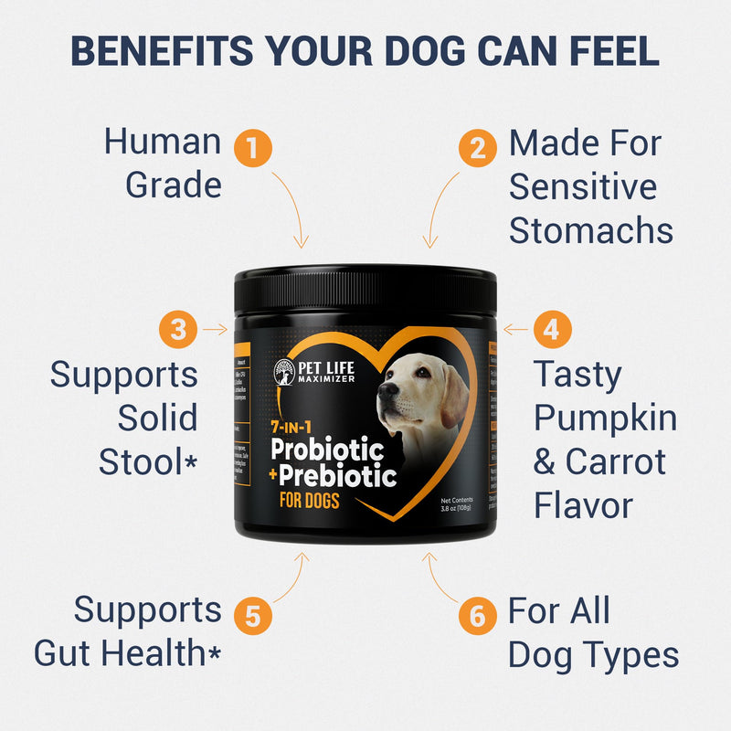 7-in-1 Probiotic + Prebiotic for Dogs. For Digestive Health, Yeast, Itchy Skin, Itchy Ears, Paw Licking. Dog Gut Health Probiotics Supplement 5 Billion CFU Multi-Strain Formula. Daily Powder Topper
