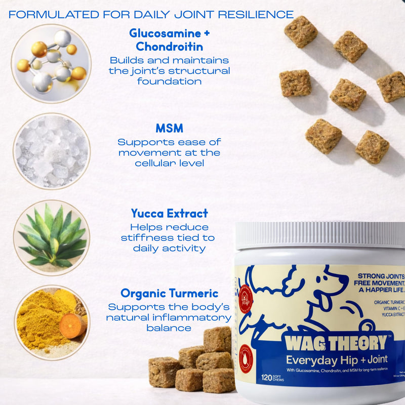 Hip & Joint Supplement for Dogs – Glucosamine Chondroitin MSM – Dog Joint Supplement & Mobility Support Chews with Turmeric & Yucca – Arthritis Support – 120 Soft Chews