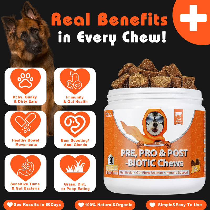 Daily Probiotics for Dogs - 120 Beef Flavored Soft Chews with Natural Pumpkin Powder for Healthy Gut & Sensitive Tummy. Reduces Scooting, Loose Stools, Smelly, Itchy Ears for Small, Medium, Large Dogs