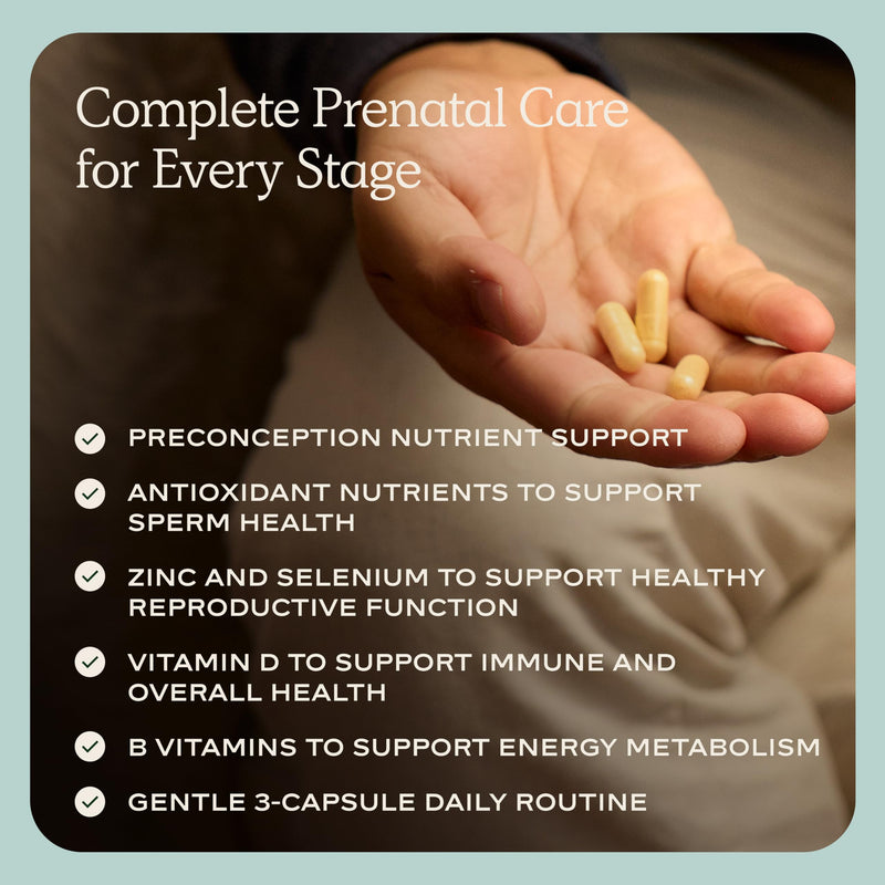 WeNatal for Him Prenatal Vitamins – CoQ10, NAC, L-Carnitine, 90 Capsules | Clinically studied by Citruslabs, adds methylated folate to support sperm quality, count and motility, vegan, kosher.