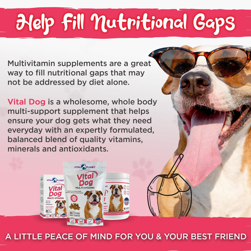 Vital Planet - Vital Dog Multi Vitamin Chewable Tablet Supplement for Everyday Health with Vitamins, Minerals and Antioxidants for Dogs - 30 Beef Flavored Chewable Tablets - PawsPlanet Australia