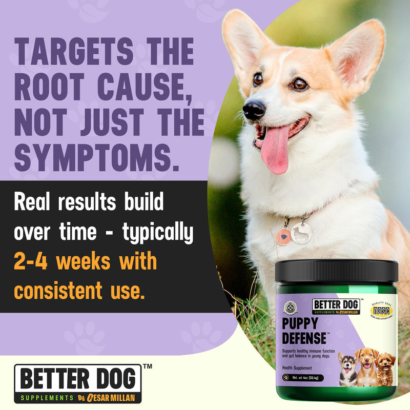 Better Dog Supplements by Cesar Millan® Puppy Defense – Natural Immune Support Powder for Young Dogs – Immunity, Gut Balance, Digestive Health & Early Wellness – 4oz, (60-Day Supply)