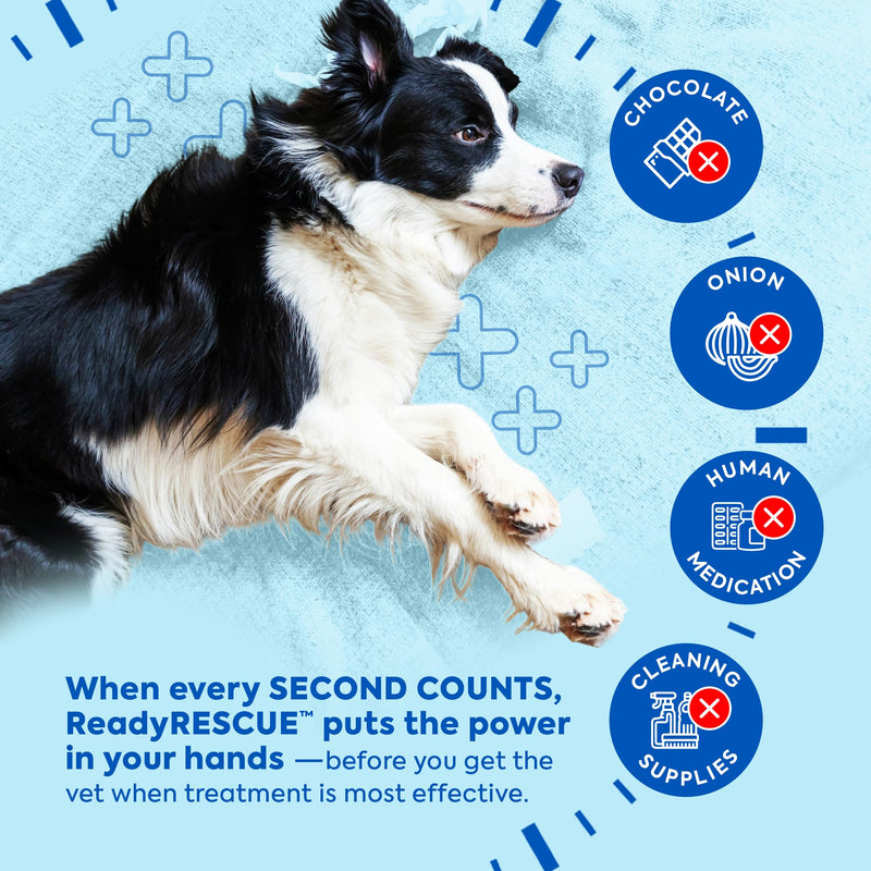 ReadyRESCUE Activated Charcoal microspheres for Dogs and Cats - Veterinary-Grade Pet First Aid Kit Essential - Fast Acting Emergency Poison Binder - Safe and Travel Ready - 30 g Pack of 1 1 Vial