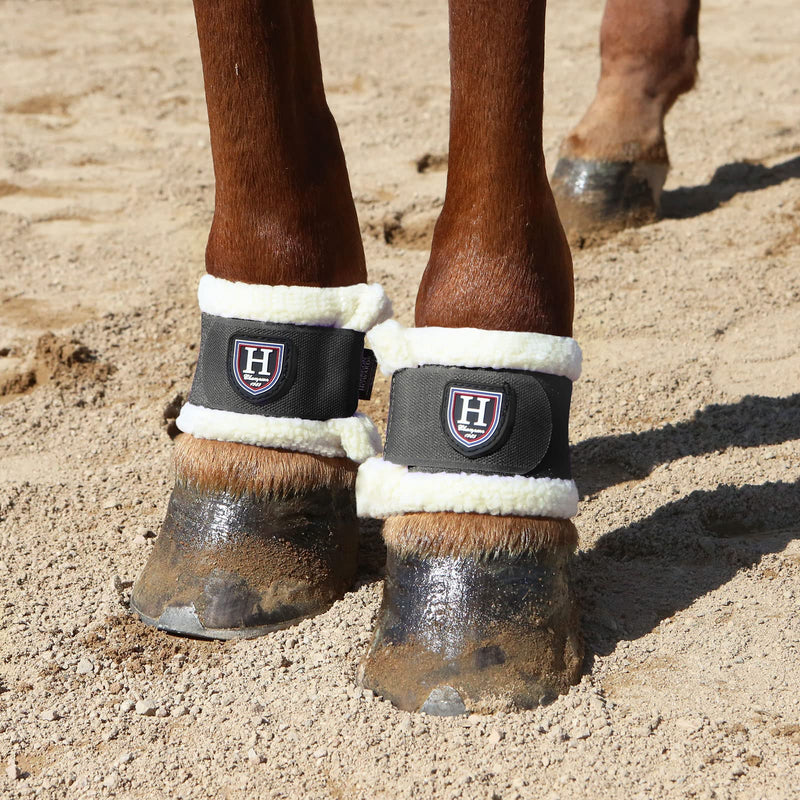 Harrison Howard Essential Premium Horse Pastern Wraps with Berber Fleece Lining Sold in Pairs Black - BeesActive Australia