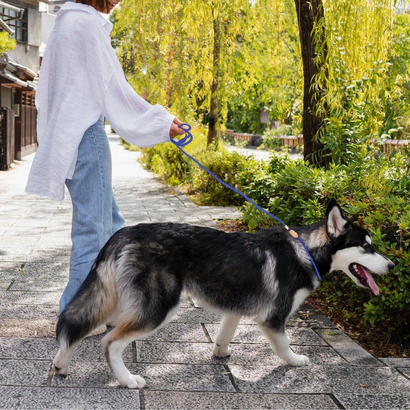 5 Ft Slip Leads Puppy Dog Leash for Small Dogs, Slip Leash for Puppy Training, No Pull Control Leash for Small Dogs Pet Leash Rope for Small Medium Large Dogs, No Pull Dog Training Leads - BeesActive Australia