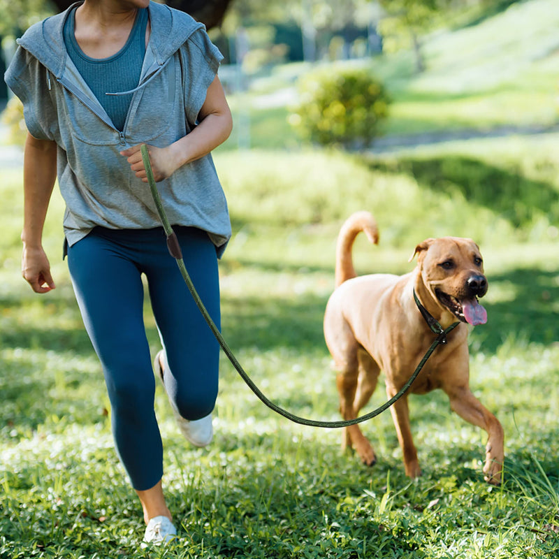 TwoEar Dog Leash Dog Slip Rope Leash 1/2" x 6FT Dog Training Leash Heavy Duty Strong Slip Lead Highly Reflective Threads for Small Medium and Large Dogs(Green) Large(1/2''x6ft) Green - BeesActive Australia