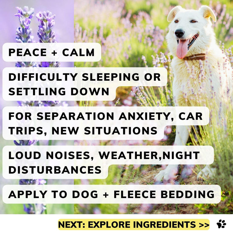 Dog Calm Balm 30g calming remedy for anxious scared tired dogs and puppies,100% safe stress relief without sprays or drops, Made in the UK