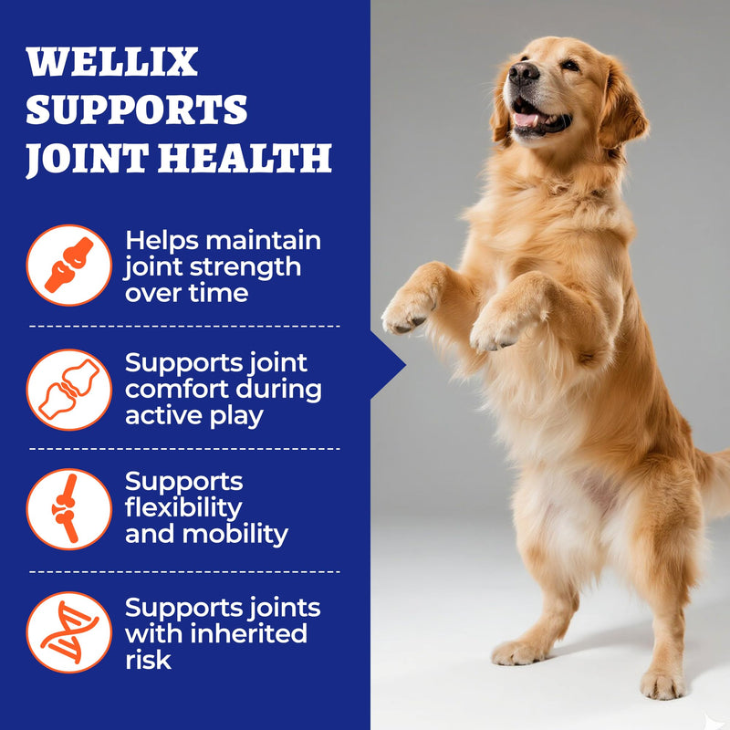 260 Bites Wellix Dog Hip and Joint Supplement Arthritis Pain Relief with Glucosamine Chondroitin MSM Functional Ingredients Joint Care Chews for Senior Dogs Antioxidant Supplements