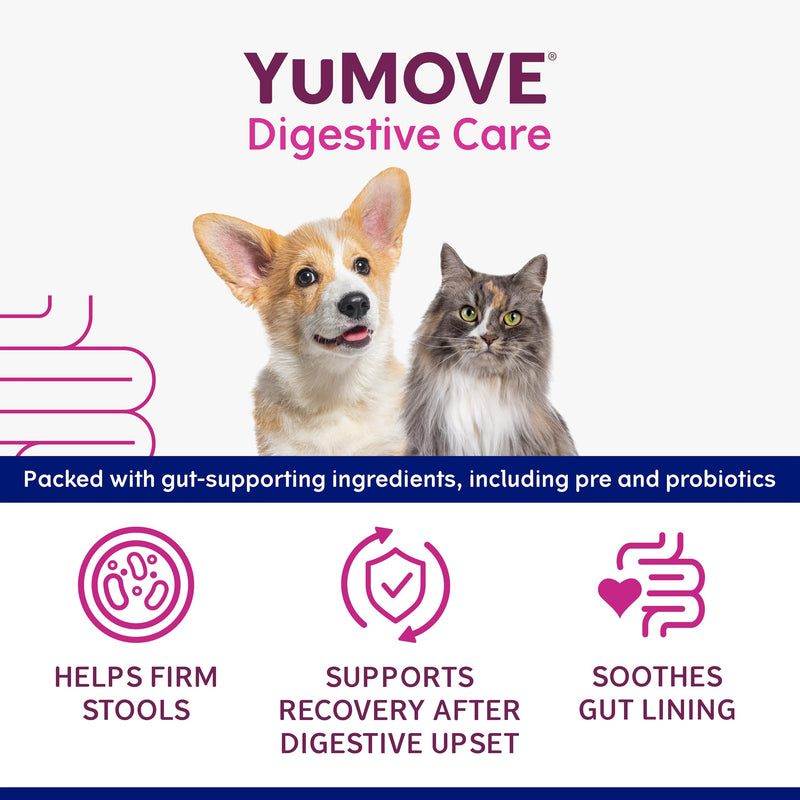 YuMOVE Digestive Care Rapid Dog & Cats Probiotic Paste for Gut Health, Digestive Supplements with Fast-Acting Ingredients for Small Dogs & Cats, 15ml Single