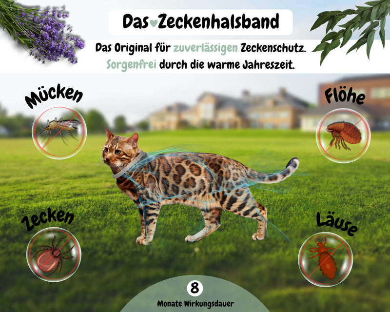 tooSimple The tick collar for cats 100% vegetable premium oil Effective protection against ticks, fleas, mosquitoes, lice, vermin - 8 months duration of effect - BeesActive Australia