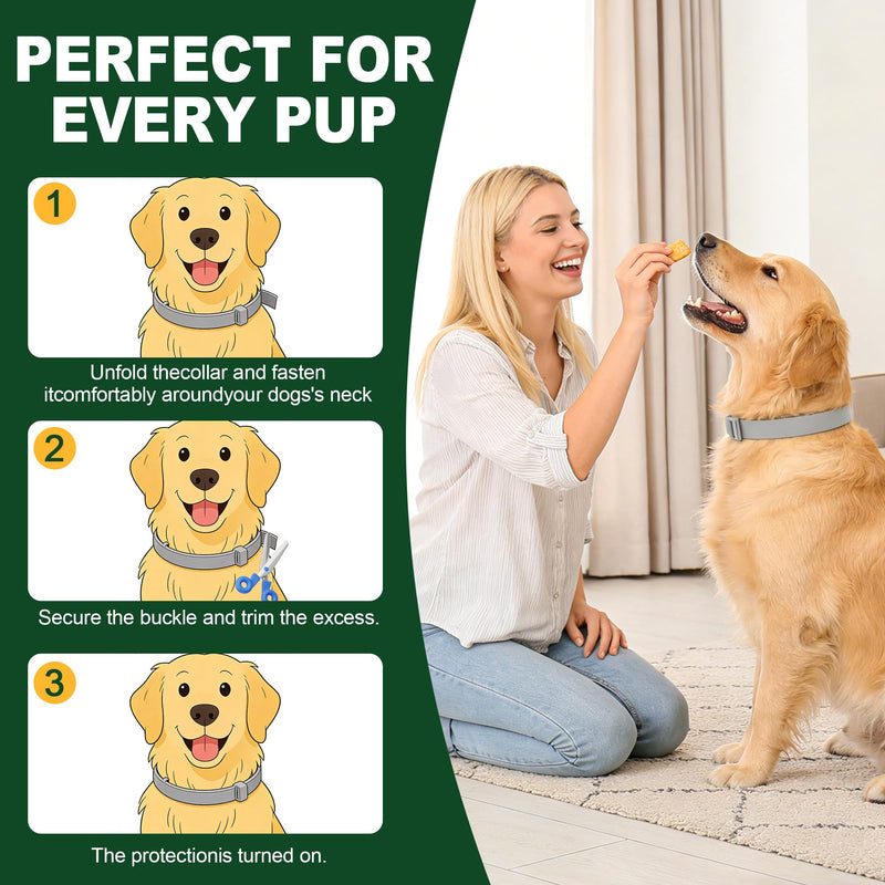 4 Pack Essential Oil Collars Dog Flea & Tick Collar Set with Natural Essential Oils, Adjustable Flea Control for Dogs