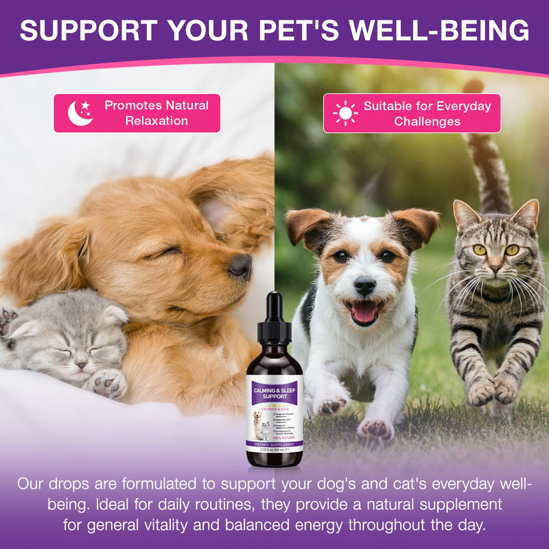 Pet Melatonin Drops 60ml for Dogs & Cats, Calming Liquid Supplement for Pets, Supports Relaxation & Healthy Sleep Cycles, Anxiety Relief for Travel, Fireworks & Stress, Easy Absorption Formula 1