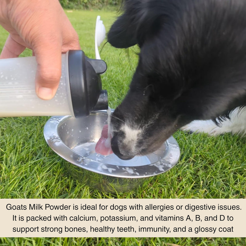 100% Natural Whole Goats Milk Powder for Dogs by Britten and James. Nutrient-Rich Boost, Improves Dogs' Hydration, Appetite, Gut Health and Immunity. High Calcium and Vitamins. For All Ages (500g) 500g