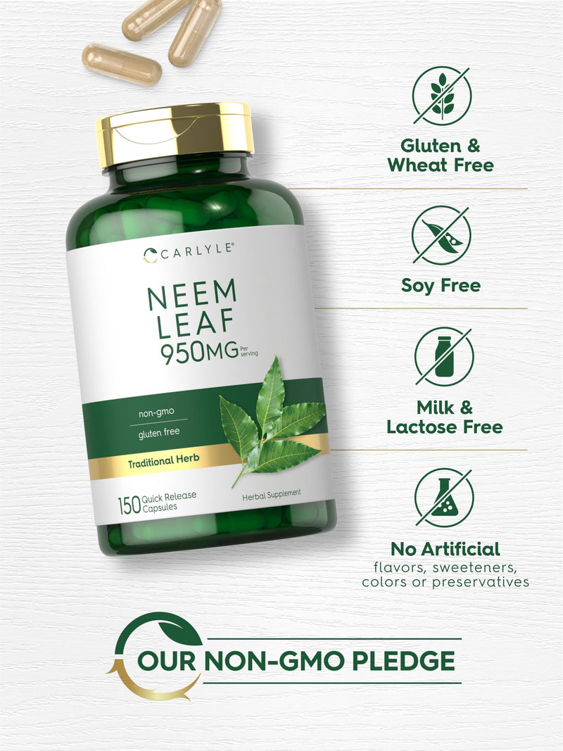 Carlyle Neem Leaf | 950mg | 150 Powder Capsules | Non-GMO and Gluten Free Formula | Value Size | Traditional Herbal Supplement | Azadirachta Indica 150 Count (Pack of 1) - BeesActive Australia