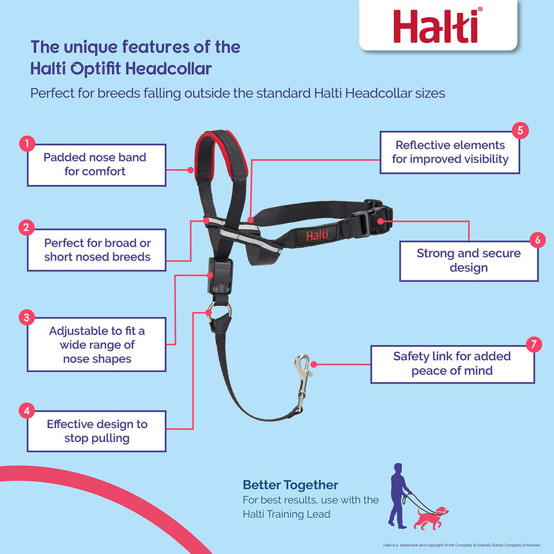 HALTI Optifit Headcollar Size Large & HALTI Training Leash Size Large, Black Combination Pack - Stop Your Dog Pulling on the Leash. Adjustable with Padded Nose Band. Suitable for Large Dogs - BeesActive Australia